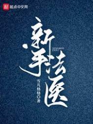 新手法杖泰拉瑞亚