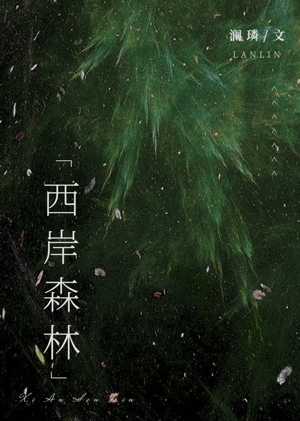 西岸网红景点