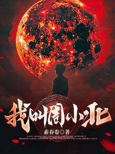 我叫赵甲第小说