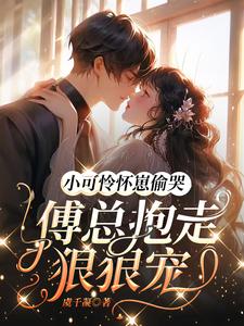 小可怜怀崽嫁入豪门被顾总宠哭