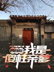 四合院傻柱免费小说