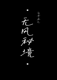 无风秘地小说